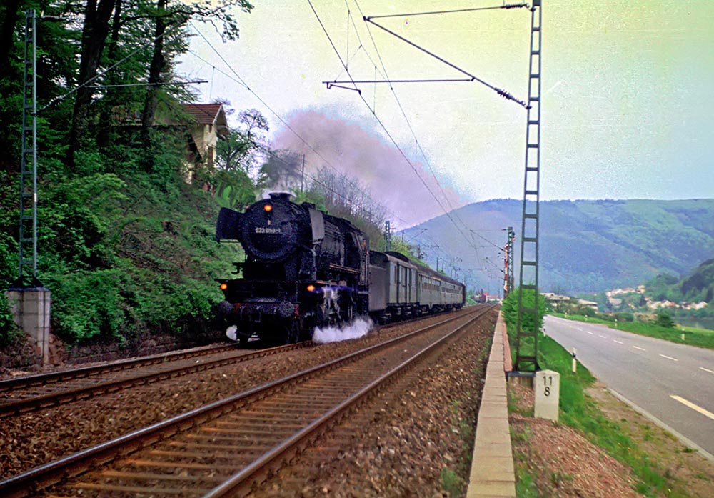 19750507A 023058 Hirschhorn N7354 bear filtered kl 1000